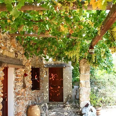 Tenuta Letizia *