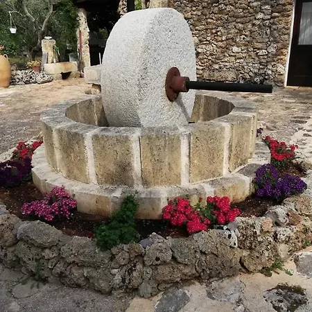 Tenuta Letizia